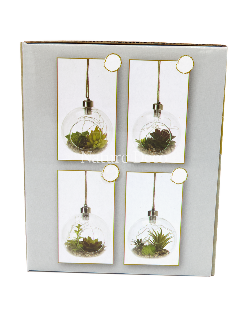 . Hangend terrarium #3