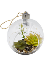 . Hangend terrarium #3