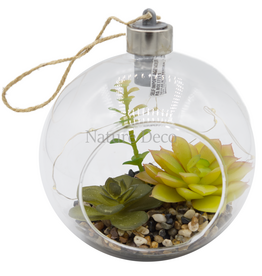 . Hanging Terrarium #3