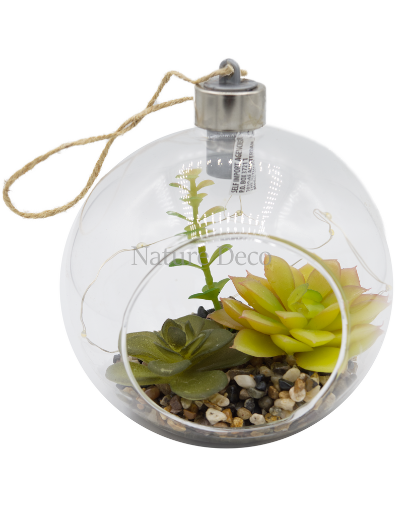 . Hangend terrarium #3