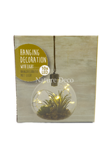 . Hanging Terrarium #4