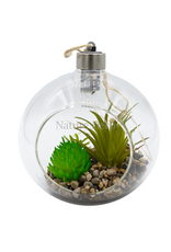 . Hanging Terrarium #4