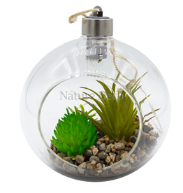 . Hanging Terrarium #4