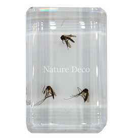 . Mosquitoes in resin ( 3 pieces )