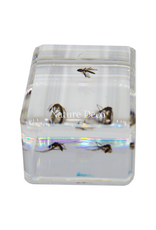 . Mosquitoes in resin ( 3 pieces )