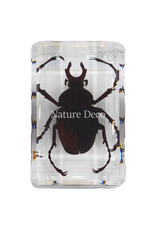 . Long armed scarab in resin