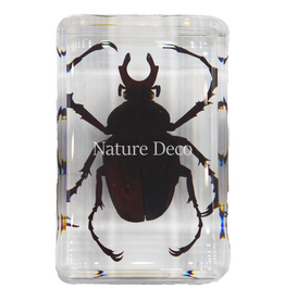 . Long armed scarab in resin