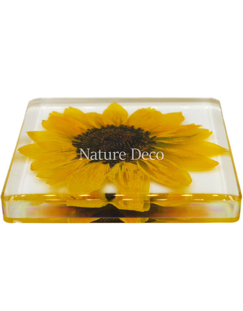 . Sunflower in resin