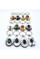 . Insect keychain #13
