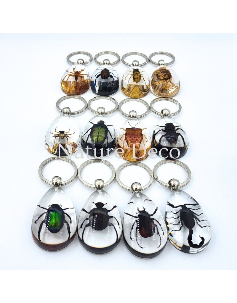 . Insect keychain #13
