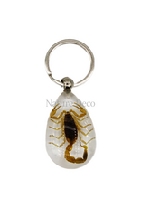 . Insect keychain #13