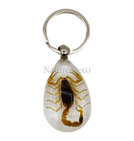 . Insect keychain #13