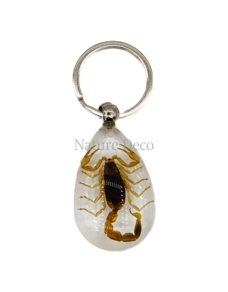 . Insect keychain #13