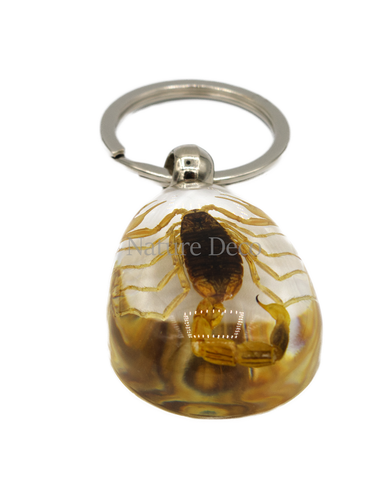 . Insect keychain #13