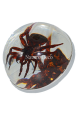 . Silver doorknob with spider