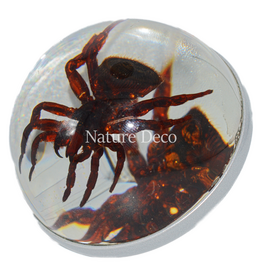 . Silver doorknob with spider