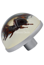 . Silver doorknob with spider