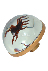 . Golden doorknob with spider