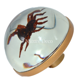. Golden doorknob with spider