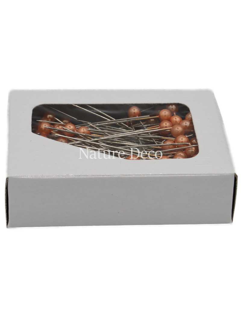 Nature Deco  Insect preparation pins