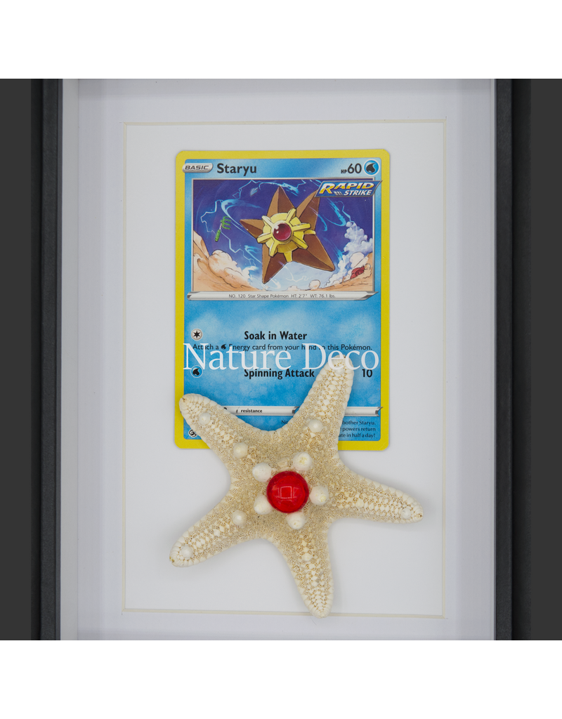 Nature Deco Pokemon collectie: Staryu in elegante lijst