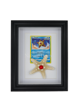 Nature Deco Pokemon collectie: Staryu in elegante lijst