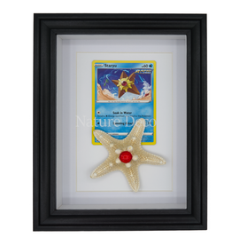 Nature Deco Staryu in elegante lijst
