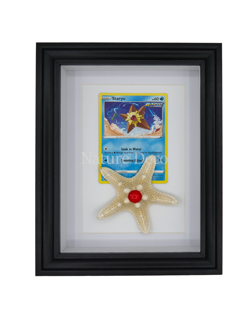 Nature Deco Pokemon collectie: Staryu in elegante lijst