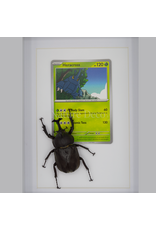 Nature Deco Pokemon collectie: Heracross in elegante lijst
