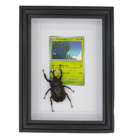 Nature Deco Heracross in elegante lijst