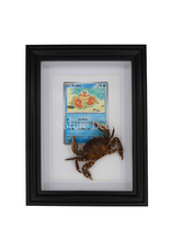 Nature Deco Pokemon collection: Krabby in elegant frame