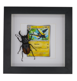 Nature Deco Vikavolt in luxury 3D frame