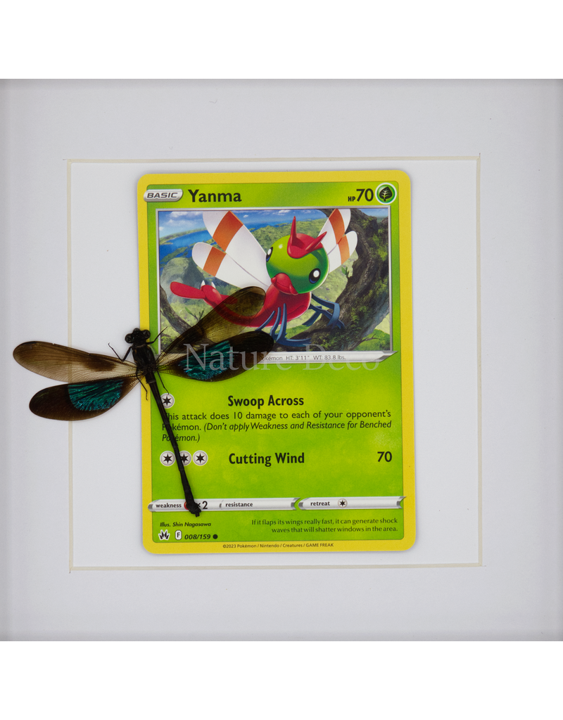 Nature Deco Pokemon collectie: Yanma in luxe 3d lijst