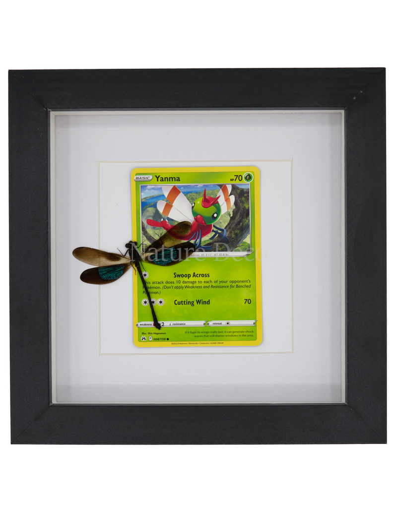 Nature Deco Pokemon collectie: Yanma in luxe 3d lijst