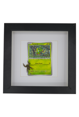 Nature Deco Pokemon collectie: Spinarak in luxe 3d lijst