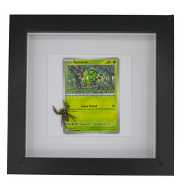 Nature Deco Spinarak in luxe 3d lijst