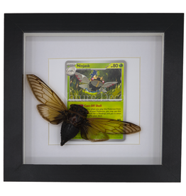 Nature Deco Ninjask in luxury frame