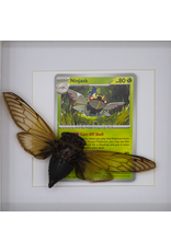 Nature Deco Pokemon collection:  Ninjask in luxury frame