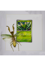 Nature Deco Pokemon collectie: Scyther in luxe 3d lijst
