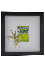 Nature Deco Pokemon collectie: Scyther in luxe 3d lijst