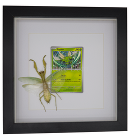 Nature Deco Scyther in luxury 3D frame