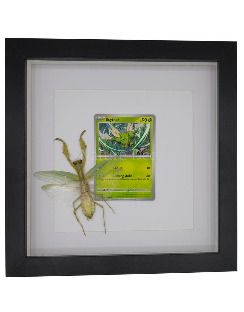Nature Deco Pokemon collection: Scyther in luxury 3D frame