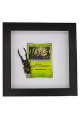 Nature Deco Pokémon collectie: Pinsir in luxe 3d lijst