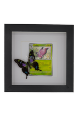 Nature Deco Pokémon collectie: Vivillon in luxe 3d lijst