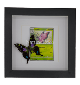 Nature Deco Vivillon in luxe 3d lijst