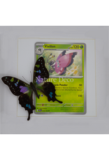 Nature Deco Pokémon collectie: Vivillon in luxe 3d lijst