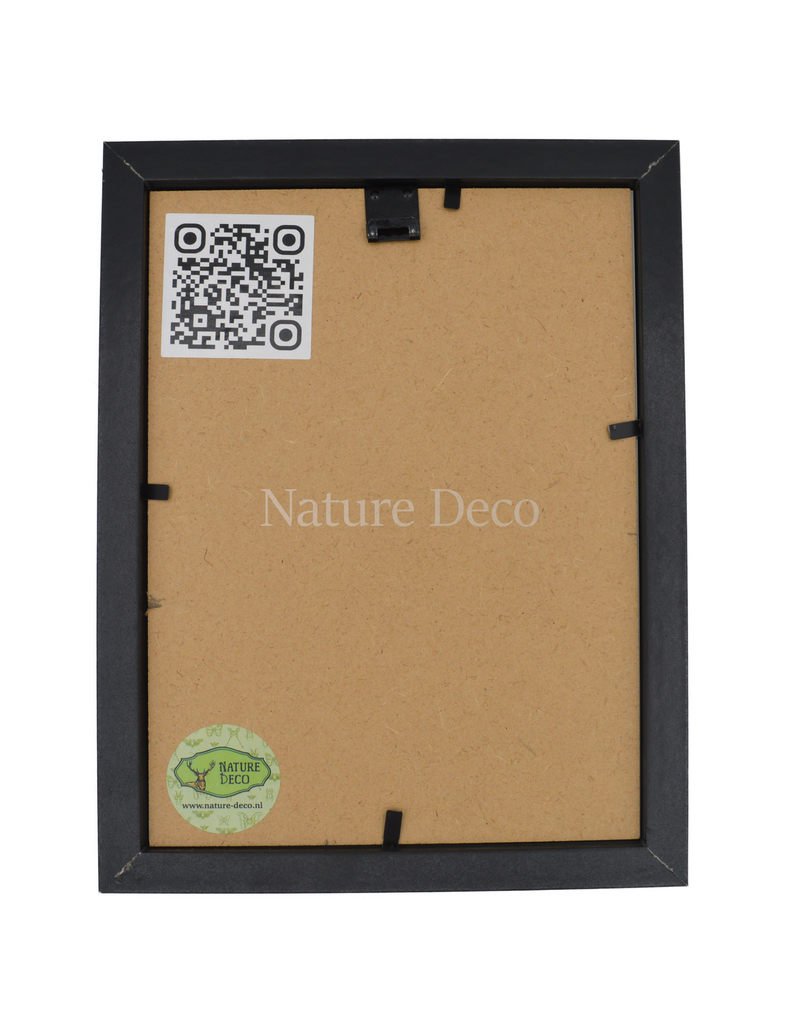 Nature Deco Pokemon collection: Krabby in elegant frame