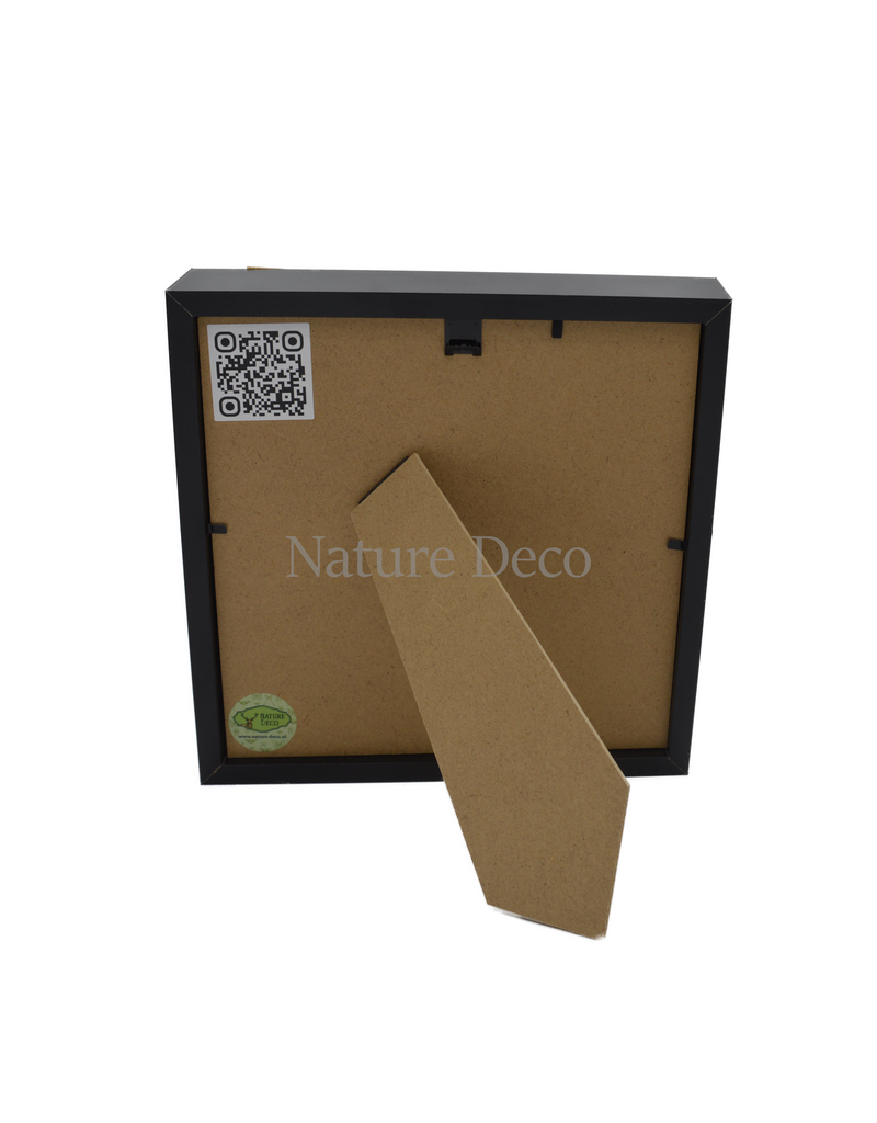 Nature Deco Pokémon collection: Pinsir in luxury 3d frame