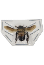 . Unprepared Apis dorsata (giant honeybee)