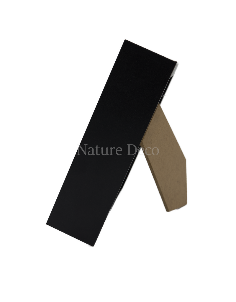 Nature Deco Apis dorsata ( reuze honingbij ) in luxe 3d lijst 12 x 12 cm